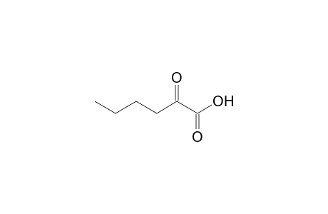 2-ketocaproic acid, 1TMS, 1MEOX