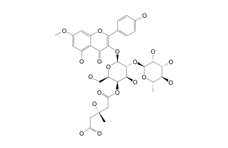 OXYTROFLAVOSIDE_C;RHAMNOCITRIN_3-O-[(S)-3-HYDROXY-3-METHYLGLUTARYL-(1->4)]-[ALPHA-L-RHAMNOPYRANOSYL-(1->2)]-BETA-D-GALACTOPYRANOSIDE