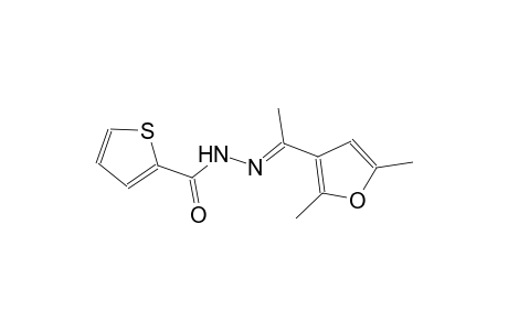 N'-[(E)-1-(2,5-dimethyl-3-furyl)ethylidene]-2-thiophenecarbohydrazide