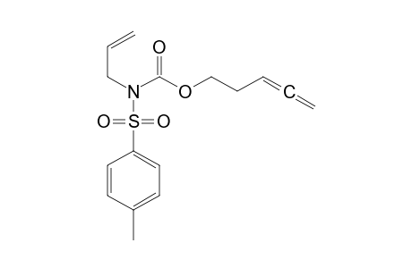 N-(4-methylphenyl)sulfonyl-N-prop-2-enylcarbamic acid penta-3,4-dienyl ester