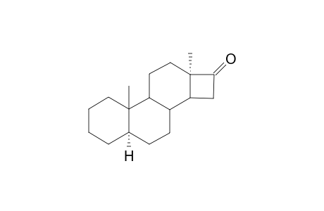 Cyclobuta[a]phenanthrene, D-norandrostan-16-one deriv.