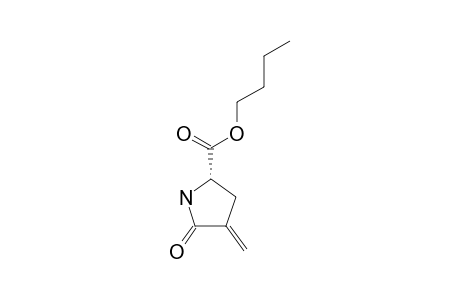 (S)-(+)-BUTYL-4-METHYLENE-5-OXO-PYRROLIDIN-2-CARBOXYLATE