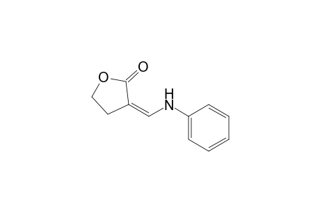 3-[(Phenylamino)methylidene]-tetrahydrofuran-2-one