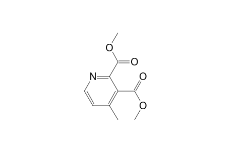 4-Methylpyridine-2,3-dicarboxylic acid dimethyl ester