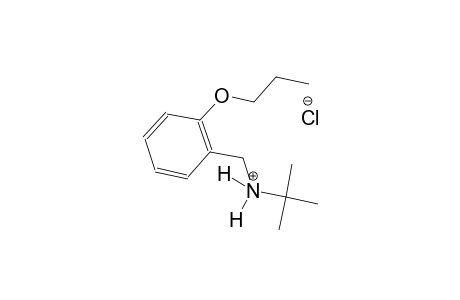 2-methyl-N-(2-propoxybenzyl)-2-propanaminium chloride