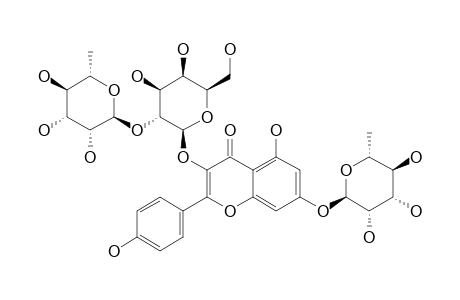 KAEMPFEROL-3-O-ALPHA-L-RHAMNOPYRANOSYL-(1->2)-BETA-D-GALACTOPYRANOSYL-7-O-ALPHA-L-RHAMNOPYRANOSIDE