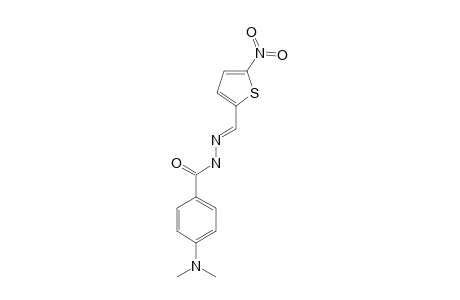 4-DIMETHYLAMINO-BENZOIC-ACID-[(5-NITRO-THIOPHEN-2-YL)-METHYLENE]-HYDRAZIDE