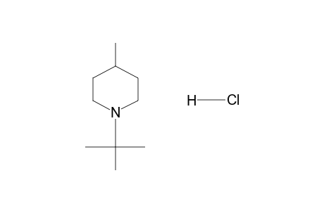 trans-1-tert-BUTYL-4-PIPECOLINE, HYDROCHLORIDE