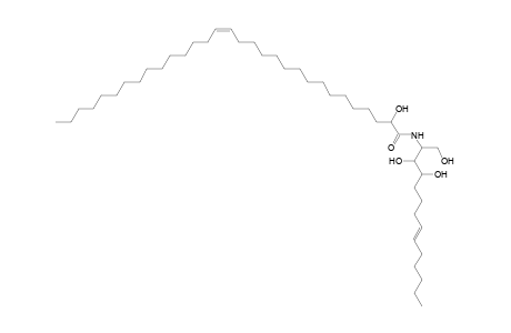 Cer 14:1;3O/31:1;(2OH)