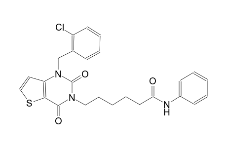 6-(1-(2-chlorobenzyl)-2,4-dioxo-1,4-dihydrothieno[3,2-d]pyrimidin-3(2H)-yl)-N-phenylhexanamide