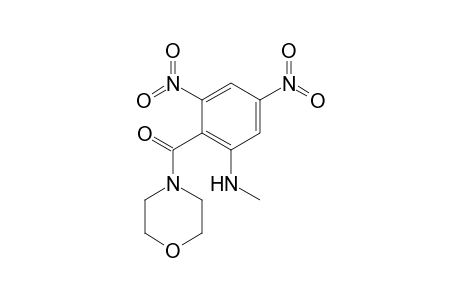 (2-Methylamino-4,6-dinitro-phenyl)-morpholin-4-yl-methanone