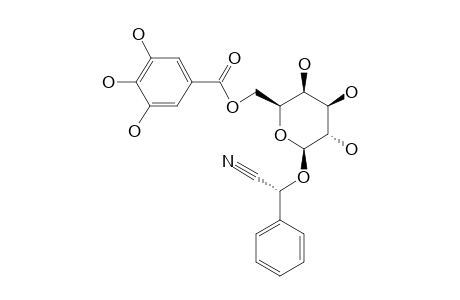 6'-O-GALLOYLPRUNASIN