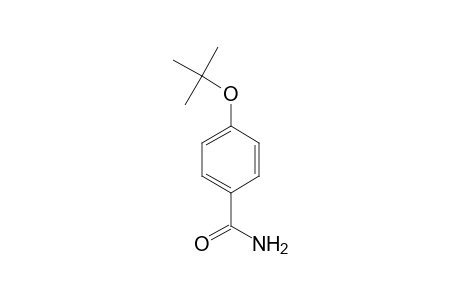 Benzamide, p-tert-butoxy-