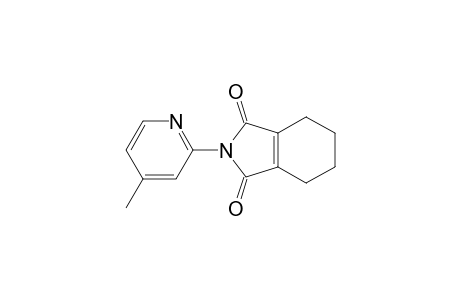 N-(4-Methylpyridin-2-yl)-3,4,5,6-tetrahydro-phthalimide
