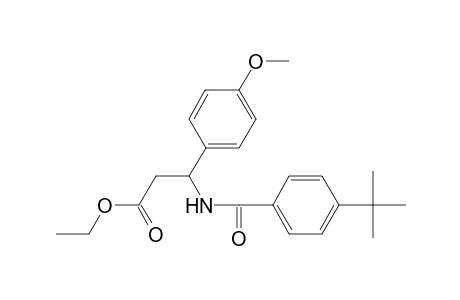 Ethyl 3-[(4-tert-butylbenzoyl)amino]-3-(4-methoxyphenyl)propanoate