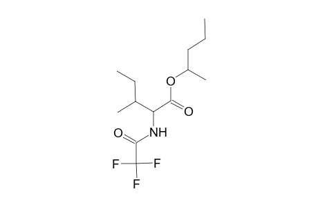 L-Isoleucine, N-(trifluoroacetyl)-, 1-methylbutyl ester