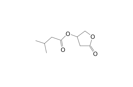 Isovalerylcarnitine oxylactone