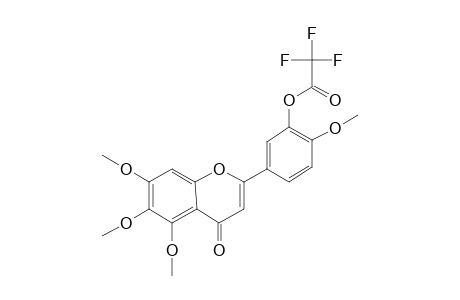 3'-Trifluoroacetyloxy-5,6,7,4'-tetramethoxyflavone