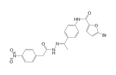 5-bromo-N-(4-{(1E)-N-[(4-nitrophenyl)acetyl]ethanehydrazonoyl}phenyl)-2-furamide