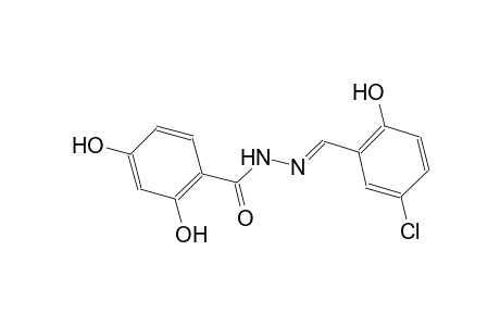 N'-[(E)-(5-chloro-2-hydroxyphenyl)methylidene]-2,4-dihydroxybenzohydrazide