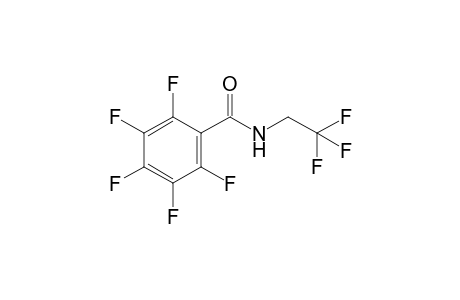 2,3,4,5,6-pentafluoro-N-(2,2,2-trifluoroethyl)benzamide
