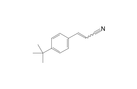 3-(4-(Tert-butyl)phenyl)acrylonitrile