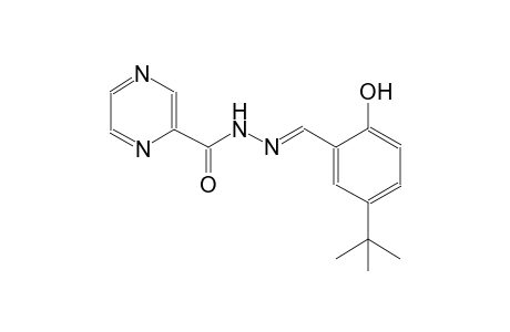 N'-[(E)-(5-tert-butyl-2-hydroxyphenyl)methylidene]-2-pyrazinecarbohydrazide