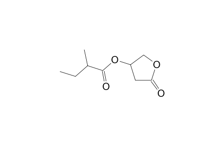 2-Methylbutyrylcarnitine oxylactone
