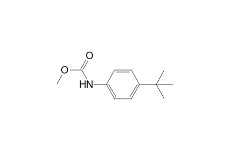 Methyl (4-t-butylphenyl)carbamate