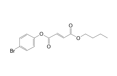 Fumaric acid, 4-bromophenyl butyl ester