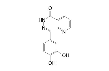 N'-[(E)-(3,4-Dihydroxyphenyl)methylidene]nicotinohydrazide