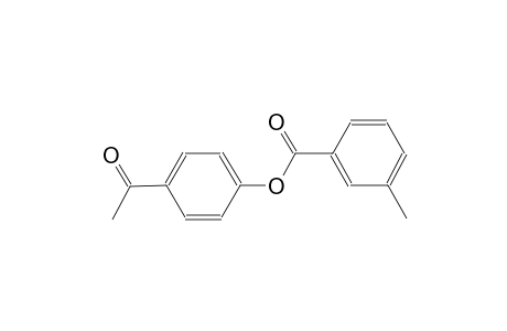 4-acetylphenyl 3-methylbenzoate