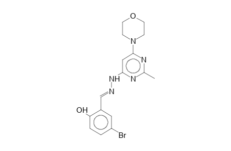 4-(5-Bromo-2-hydroxybenzylidenehydrazino)-2-methyl-6-morpholinopyrimidine