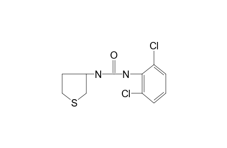 1-(2,6-dichlorophenyl)-3-(tetrahydro-3-thienyl)urea