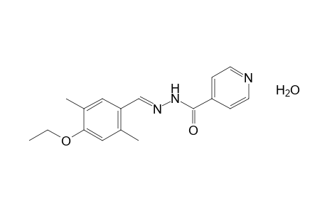 isonicotinic acid, (2,5-dimethyl-4-ethoxybenzylidene)hydrazide, monohydrate