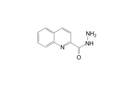 2-Quinolinecarboxylic acid, hydrazide