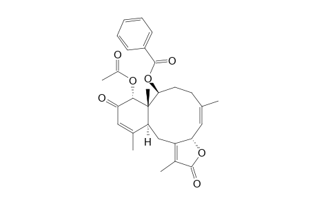 ANTHOPTILIDE-D