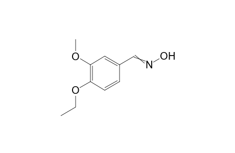 4-Ethoxy-3-methoxybenzaldehyde oxime