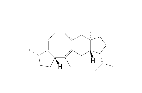 Sesterviolene B