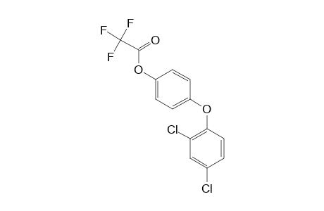 4-(2,4-Dichlorophenoxy)phenol, trifluoroacetate