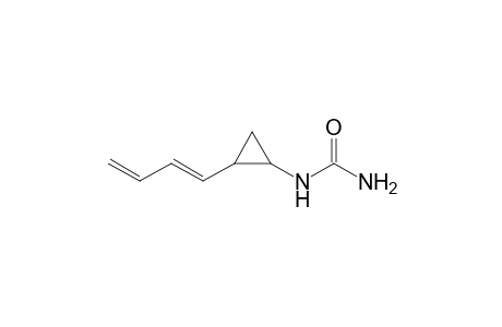 1-carbamoylamino-2-(1,3-butanedienyl) cyclopropane