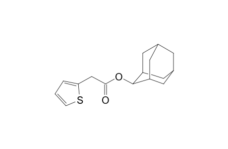 Thiophene-2-acetic acid, 2-adamantyl ester