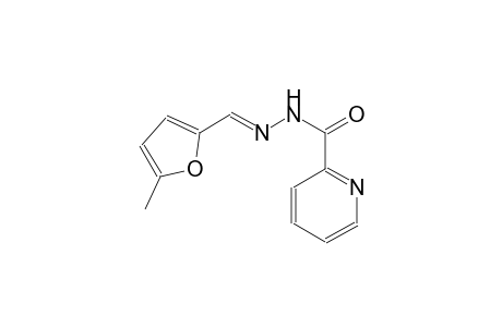 N-[(E)-(5-methyl-2-furanyl)methylideneamino]-2-pyridinecarboxamide