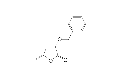 3-(benzyloxy)-5-methylene-furan-2-one