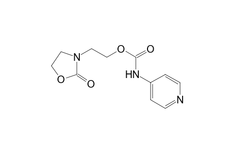 2-(2-Oxo-1,3-oxazolidin-3-yl)ethyl 4-pyridinylcarbamate