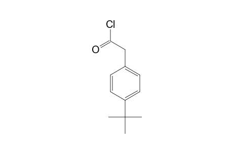 (4-tert-Butylphenyl)acetyl chloride