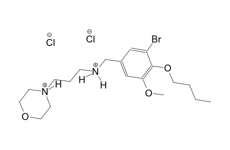 4-{3-[(3-bromo-4-butoxy-5-methoxybenzyl)ammonio]propyl}morpholin-4-ium dichloride