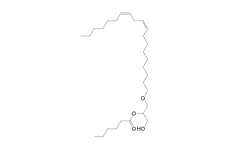 DG O-19:2_6:0