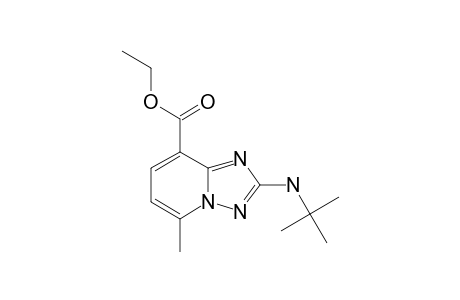 2-tert-BUTYLAMINO-5-METYHL-[1,2,4]-TRIAZOLO-[1,5-A]-PYRIDINE-8-CARBOXYLATE