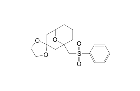 1-[(Phenylsulfonyl)methyl]-9-oxabicyclo[3.3.1]nonan-3-one,Ethylene Acetal